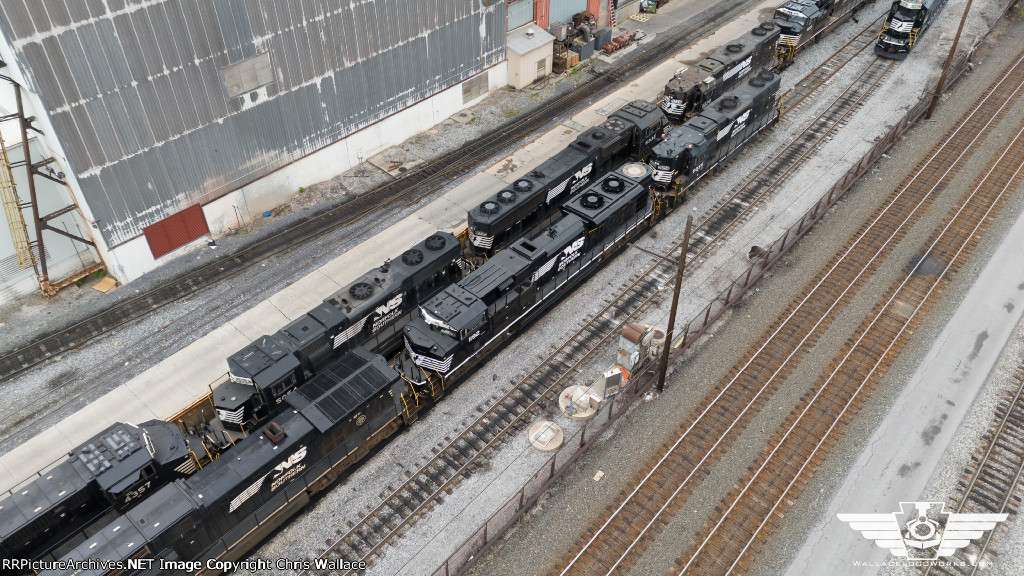 NS 1192